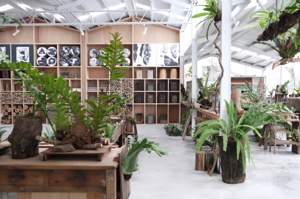 舊蘭園改造的 空氣圖書館 以植物為主角 打造海拔一千公尺的森林系用餐空間 Shoppingdesign